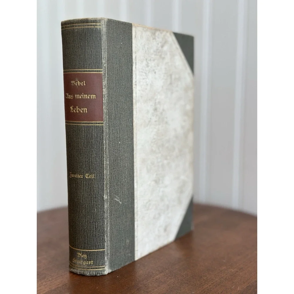1911 August Bebel Aus Meinem Leben Zweiter Teil Antique German Book Dietz